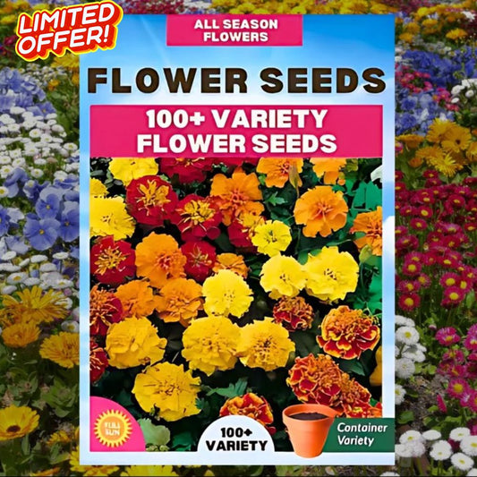 🌼 Winter Flowers🌼Pack of 100+ Colorful Flower Seeds 🌺 | FREE Delivery 🚚 + COD Available 🌟 Beautify Your Garden Now! 🌷