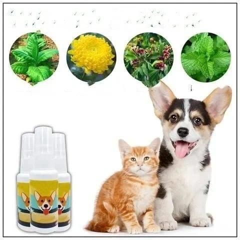 Natural Toilet Training Spray for Pets (Pack of 2) 30ml each