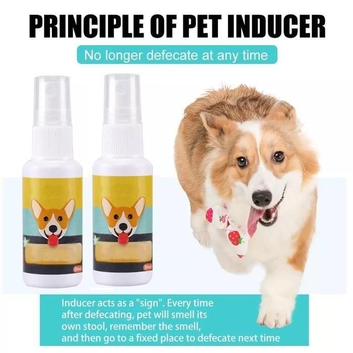 Natural Toilet Training Spray for Pets (Pack of 2) 30ml each