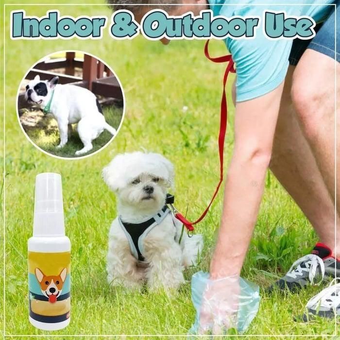 Natural Toilet Training Spray for Pets (Pack of 2) 30ml each